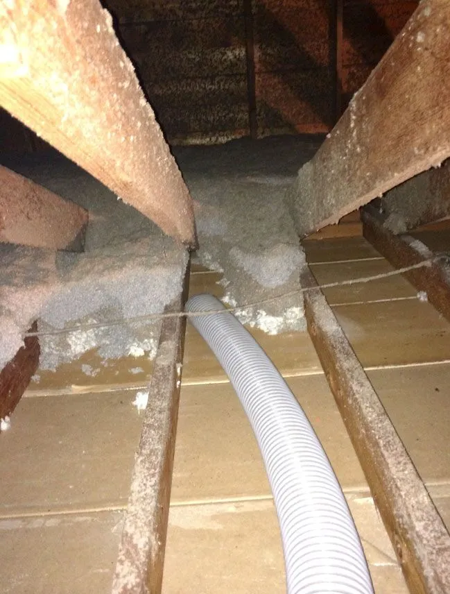 A vacuum hose run between attic joists, with insulation residue still clinging to the framing.